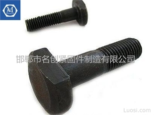 T型螺栓廠家直銷(xiāo)優(yōu)勢(shì)解析 聚焦邯鄲市名創(chuàng)緊固件制造